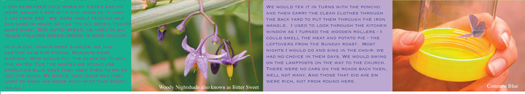 sample of poster featuring photographs from nature walk and collaborative narrative